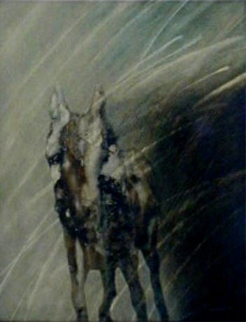 Kůň, 1993