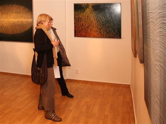 výstava Litvínov 4